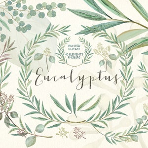 Aquarelle eucalyptus verdure, grainé, dollar en argent, art vert peint à la main, feuille vert olive, plantes botaniques clip art. 288 Go