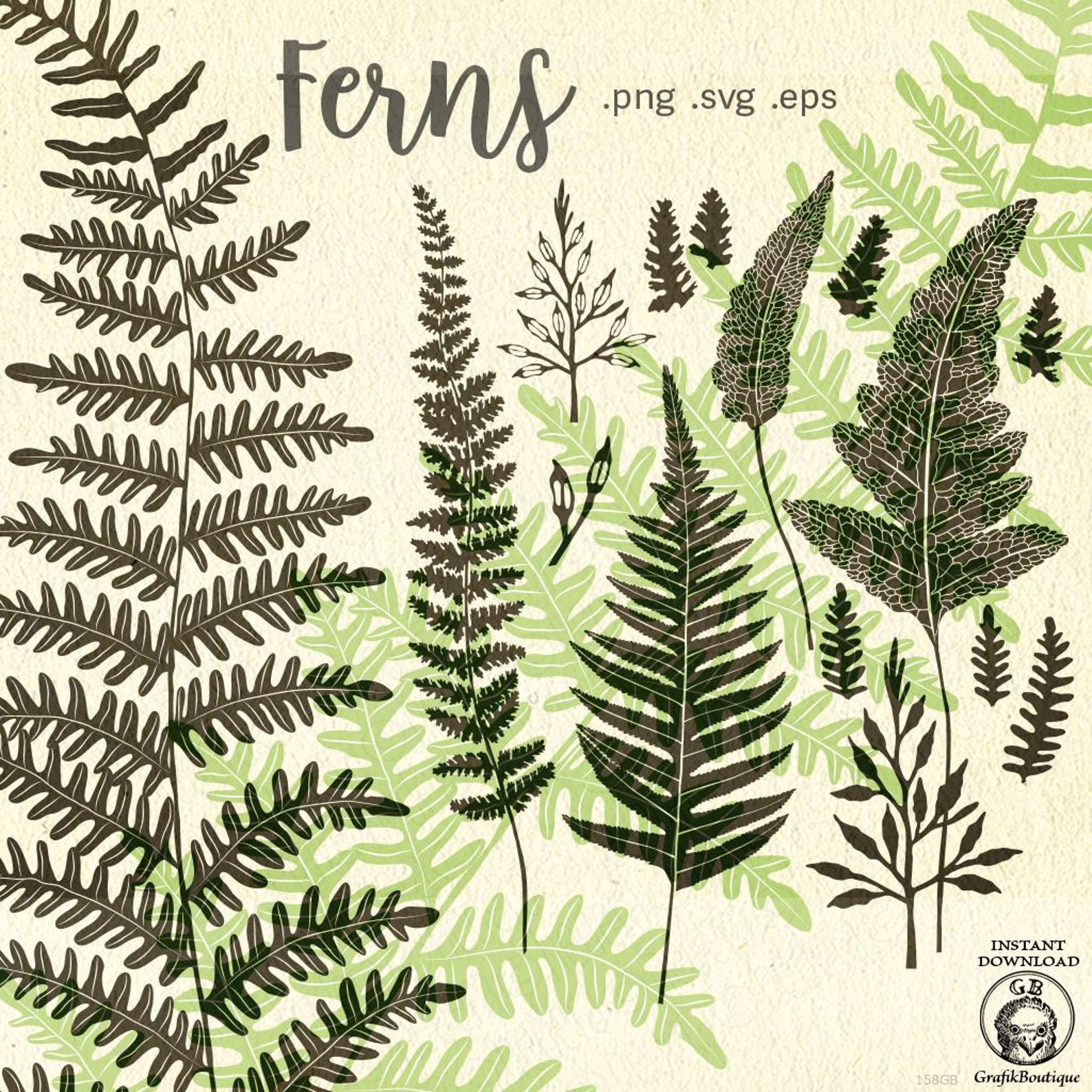 Fern Frame Graphics Fern Clip Art, Ferns Silhouette, Wild Herbs, Wildflowers, Plants, Flora ...