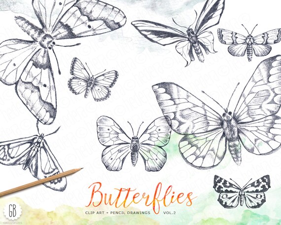 Motyle Ołówek Rysowane Ręcznie Vintage Inspirowane Rysunki Motyl Natura życie Polowe Clipart Owady Papeteria Diy Instant Download