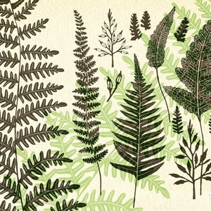 Ferns, wild herbs, wildflowers, plants, flora, vector clip art, silhouette, graphics, botanical, leaf