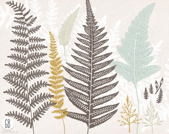 Fern, wild plants, woodland flora, wildflowers, ferns vector clip art, herbs, greens, grasses