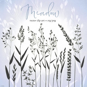 May include: Silhouettes of various meadow grasses in black against a light blue background. The text "Meadow" is written in cursive at the top of the image. The text "vector clip art - svg/png" is written below the word "Meadow".