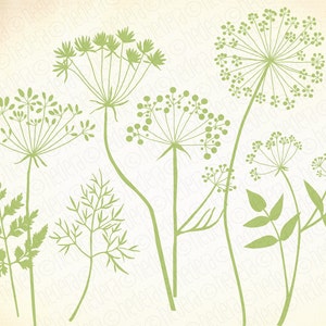 Ervas selvagens, flores, clipart vetorial de silhueta, vegetação, erva daninha, dente de leão, salsa, cenoura, endro, cartão, rótulo, papelaria diy. 061GB