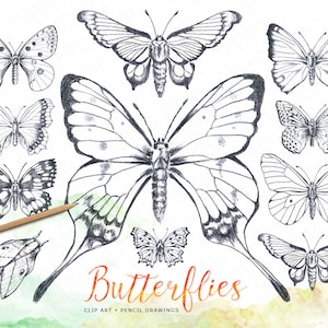 Vlinder, potlood handgetekend, vintage geïnspireerd, vlinders tekening, natuur, veldleven, clip art, insecten, diy briefpapier, instant download