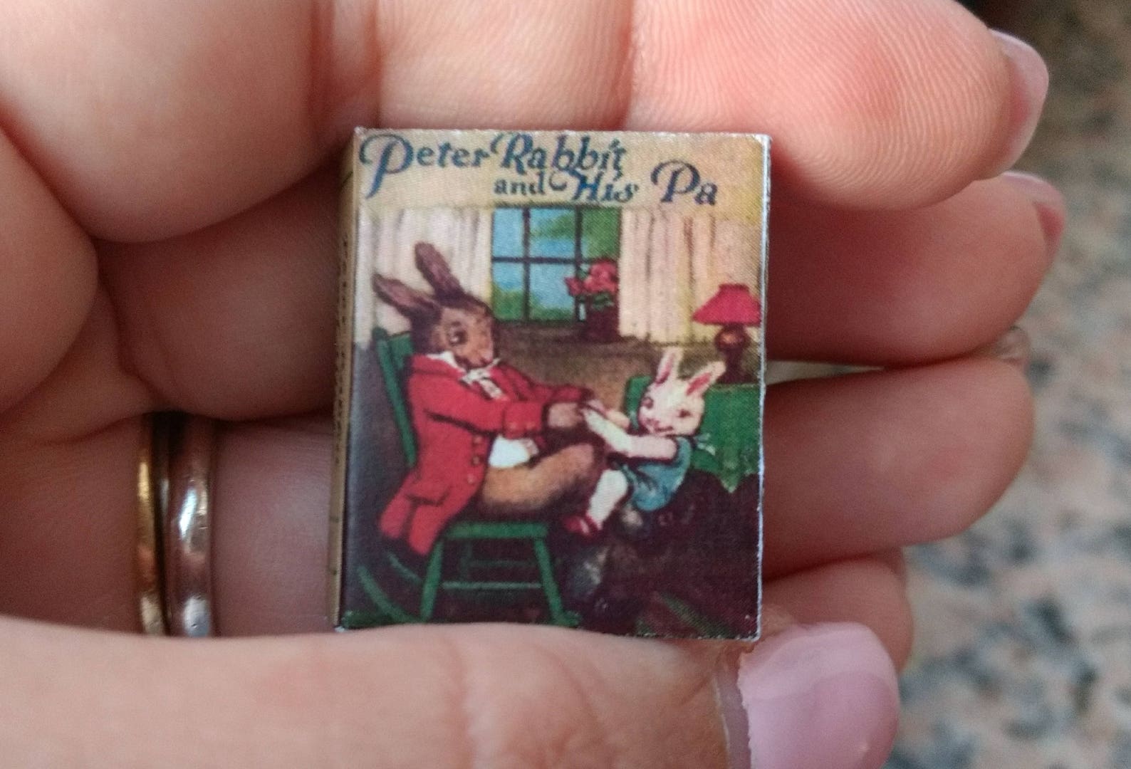 Dolls House 12th Scale Peter Rabbit and His Pa Miniature Book - Etsy