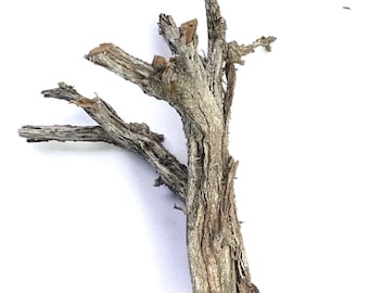 10 Model Tree Deadfall Armatures Miniature For Dioramas, Wargaming, Railway Railroad Layout Scenery