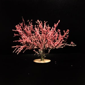 Pink Cherry Blossom Model Tree: Diorama Wargaming Scenery