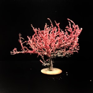 Handmade Pink Cherry Blossom Model Tree: Diorama Scenery