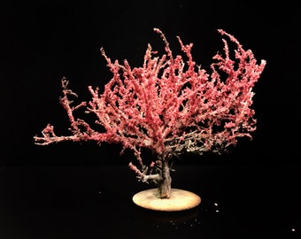 Handmade Pink Cherry Blossom Model Tree: Diorama Scenery