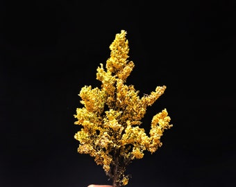 Handmade Autumn Maple Model Tree: Diorama Scenery