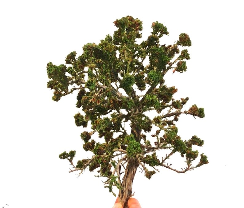 Large Green Completed Model Tree Miniature for Dioramas, Wargaming ...