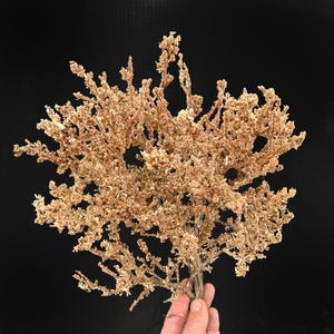 Large Green Completed Model Tree Miniature For Dioramas, Wargaming, Railway Railroad Layout Scenery