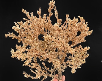 Large Light Brown Completed Model Tree Miniature For Dioramas, Architecture Model