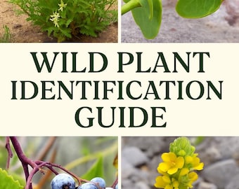 Wild Utah Edible Plant Identification Guide Western United States Mountains & Desert