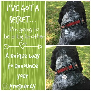 Dog, Cat, Pregnancy, Announcement, Big brother dog, Big sister Dog, Pet tag, Baby Announcement, Gift ideas, Husband, Boyfriend, Gifts, image 2