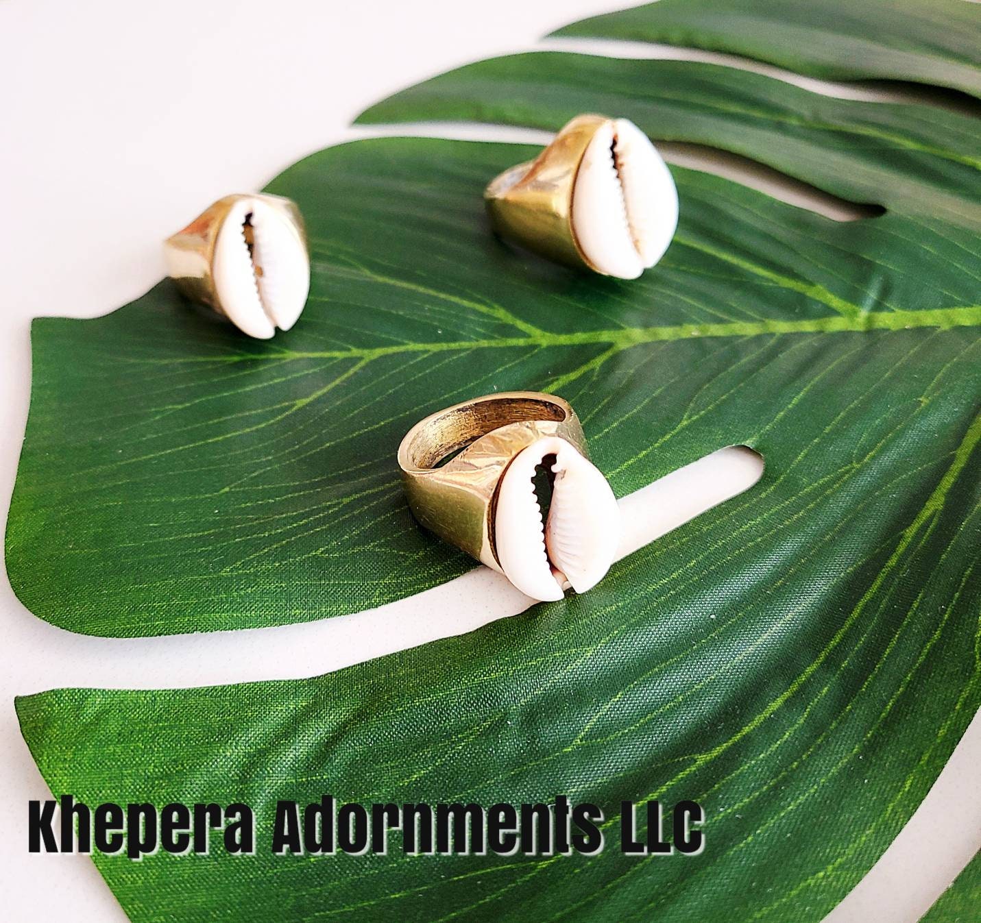 Solid Brass Cowrie Shell Ring Sea Shell Ring Natural | Etsy