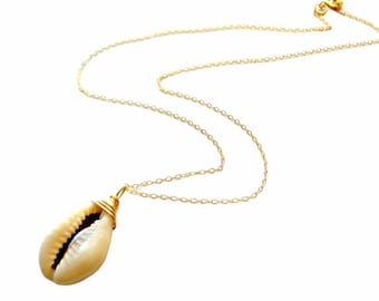 Cowrie Shell Necklace, Gold Chain 14k Plated, Delicate Necklace, Stainless Steele, Minimalist Jewelry