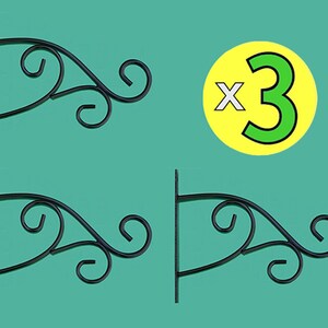May include: Three black metal hanging plant brackets with a decorative scroll design. The brackets are shown against a turquoise background.