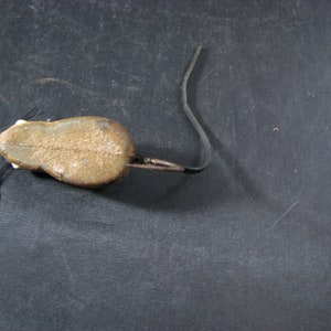 Vintage Mouse Fishing Lure image 3