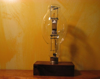Re-Purposed Light Bulb(2)