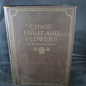 Antique 1922 Chase Fruit And Flowers Catalog