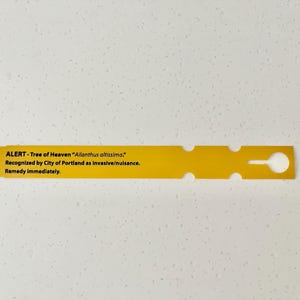 May include: Yellow warning tag with black text that reads "ALERT - Tree of Heaven "Ailanthus altissima" Recognized by City of Portland as invasive/nuisance. Remedy immediately."