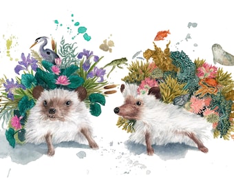 Two hedgehogs each with an ecosystem on its back. Art print from an original watercolor illustration.