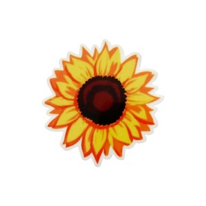 May include: A yellow sunflower with a brown center. The sunflower is drawn in a cartoon style.