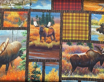 Moose Patches - Wildlife Fabric - Moose Fabric - ANMISC-62