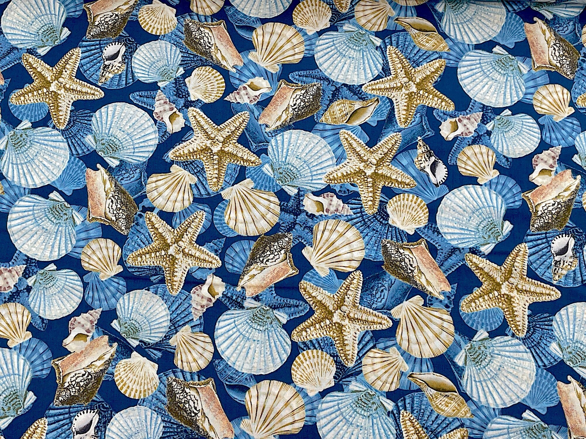 Ocean Shell Textiles Coastal Shells - Seashell Fabric - Nautical Fabric - NAU-119 - Etsy