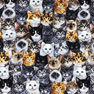 Cat Breed Fabric - Cotton Fabric - Timeless Treasures - By the Yard - CAT-81