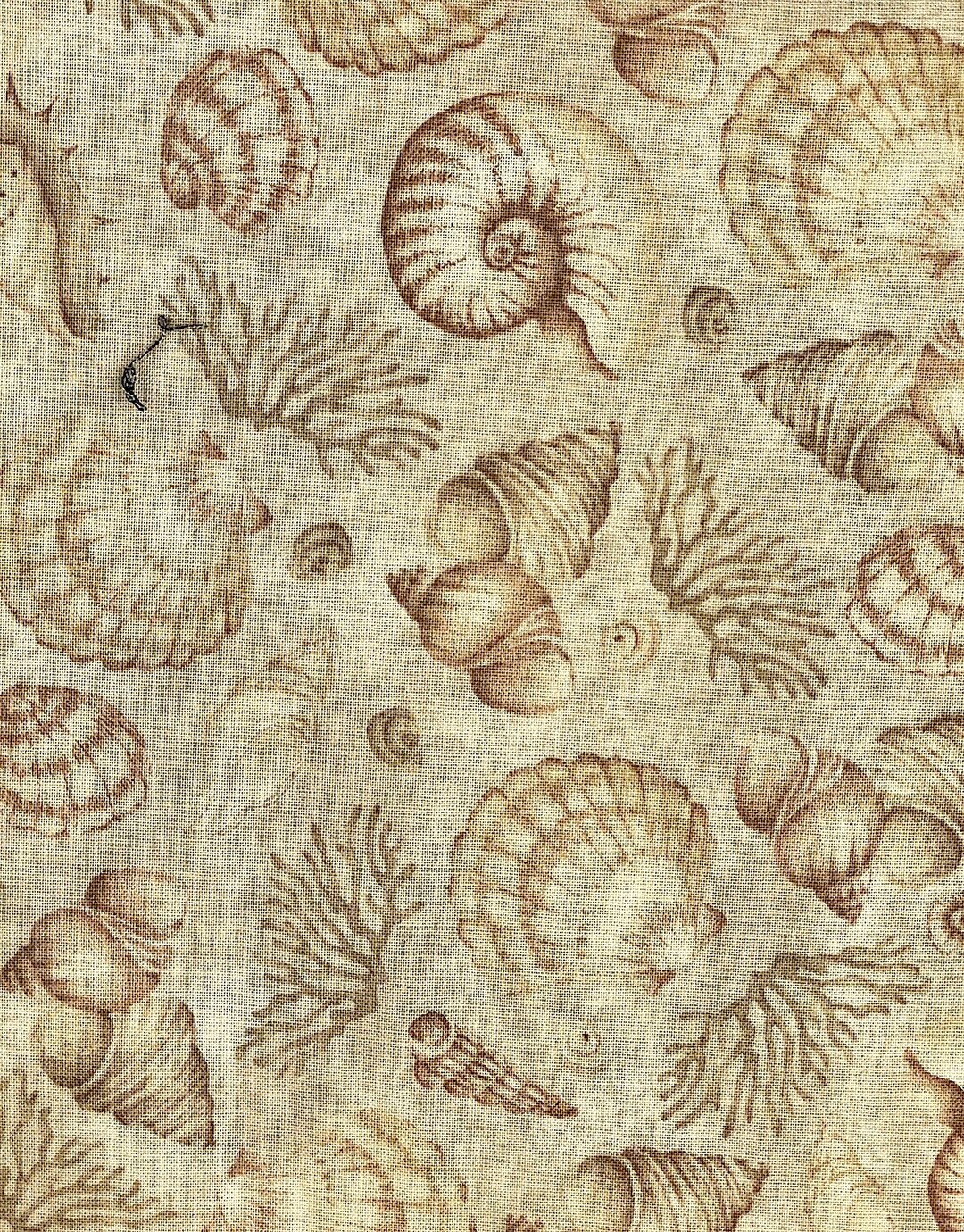 Ocean Shell Textiles Sea Shells and Coral Cotton Fabric - Etsy