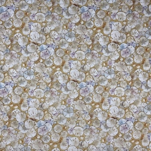 Landscape Medley Sand Dollars - NAU-86