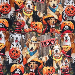 Halloween Tricksters Dog Fabric - Halloween Fabric - FALL-48