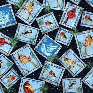 Framed Winter Birds - First Frost - Cotton Fabric - BIRD-28