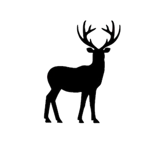Buck Decal | Deer Decal | Deer Sticker | Buck Vinyl Decal | Standing Deer Decal | Buck Deer | Running Deer Sticker | DBuck Decal