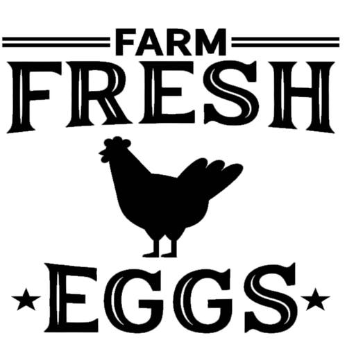 Farm Fresh Eggs Decal Wall Decal Home Decor Farm Decal | Etsy