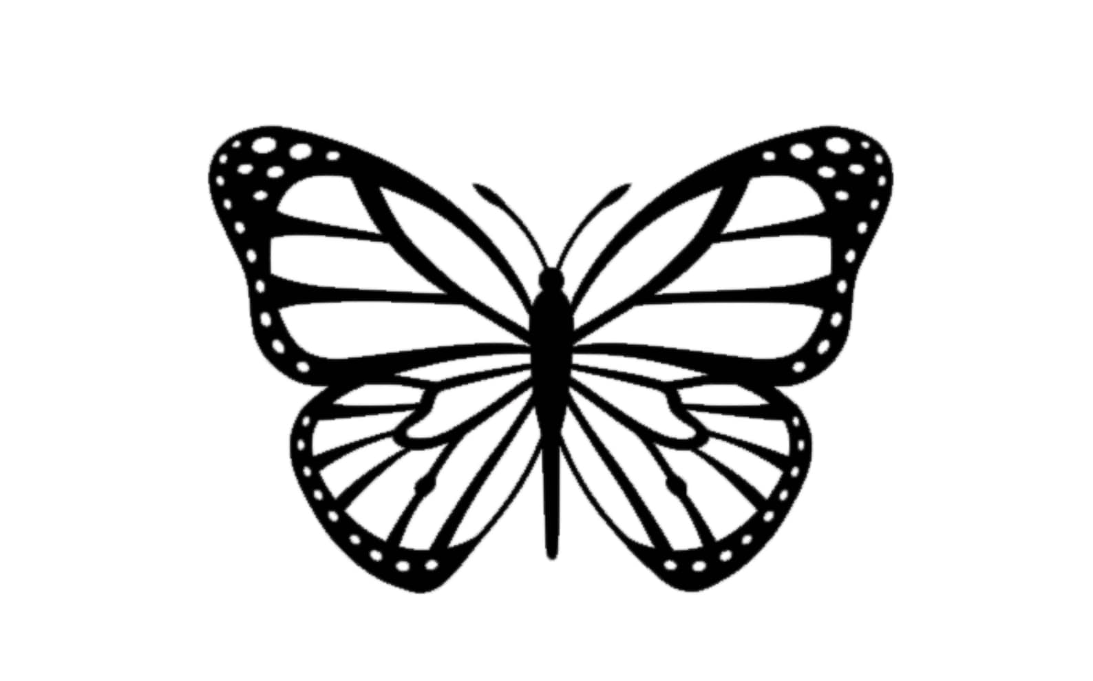 Butterfly Decal Butterfly Decal Butterfly Vinyl Decal Etsy