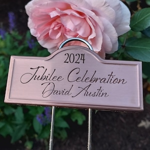 May include: A rose bush plant marker with a copper-colored metal sign. The sign reads "2024 Jubilee Celebration David Austin".