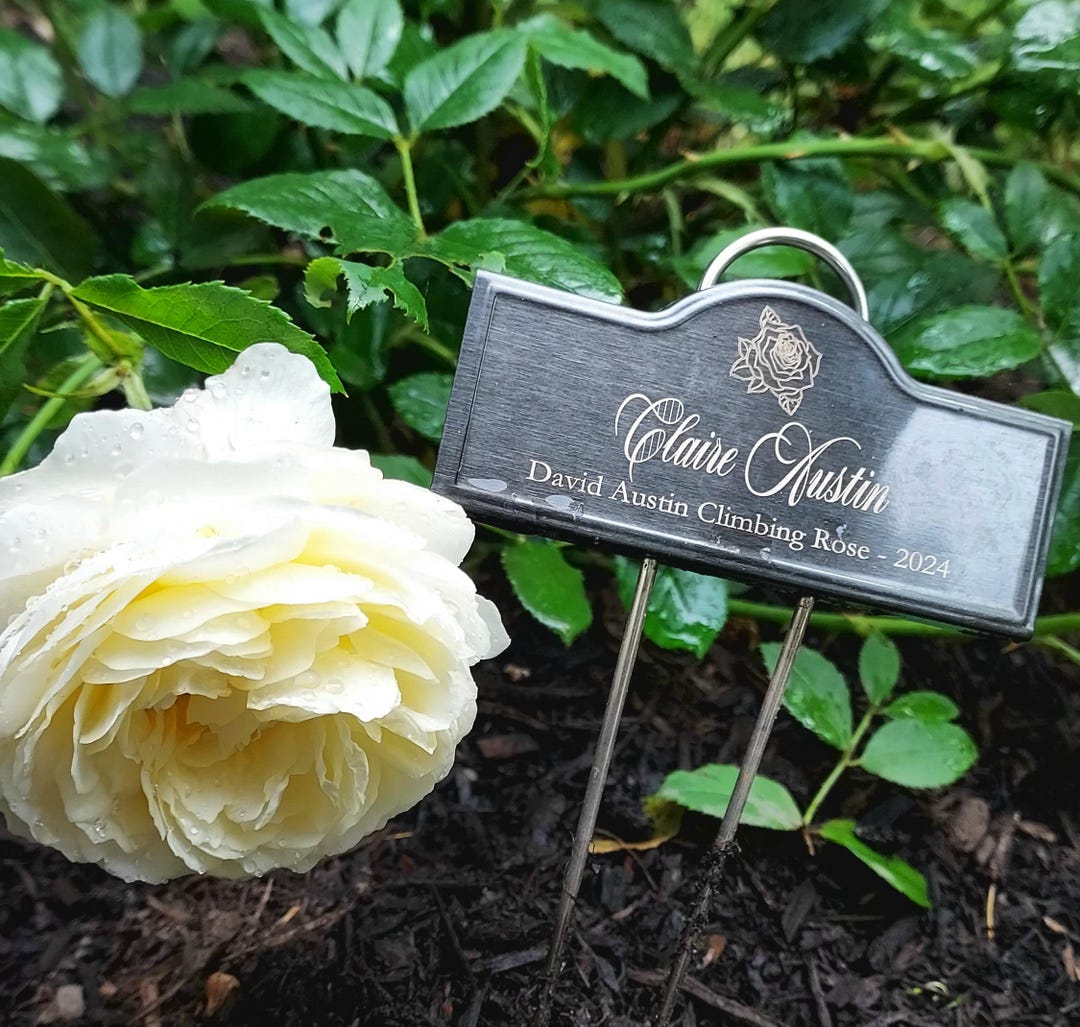 Custom Laser Engraved Black Rose or Plant Markers Stakes Garden ...