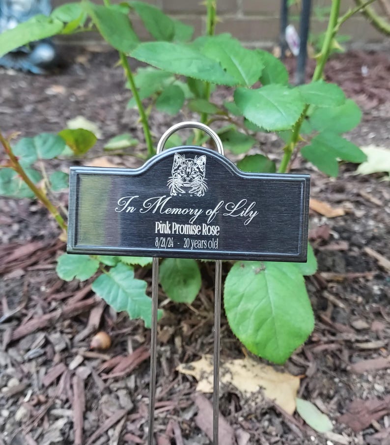 Pet Cat Memorial Custom Laser Engraved Black Plant Rose Markers Garden