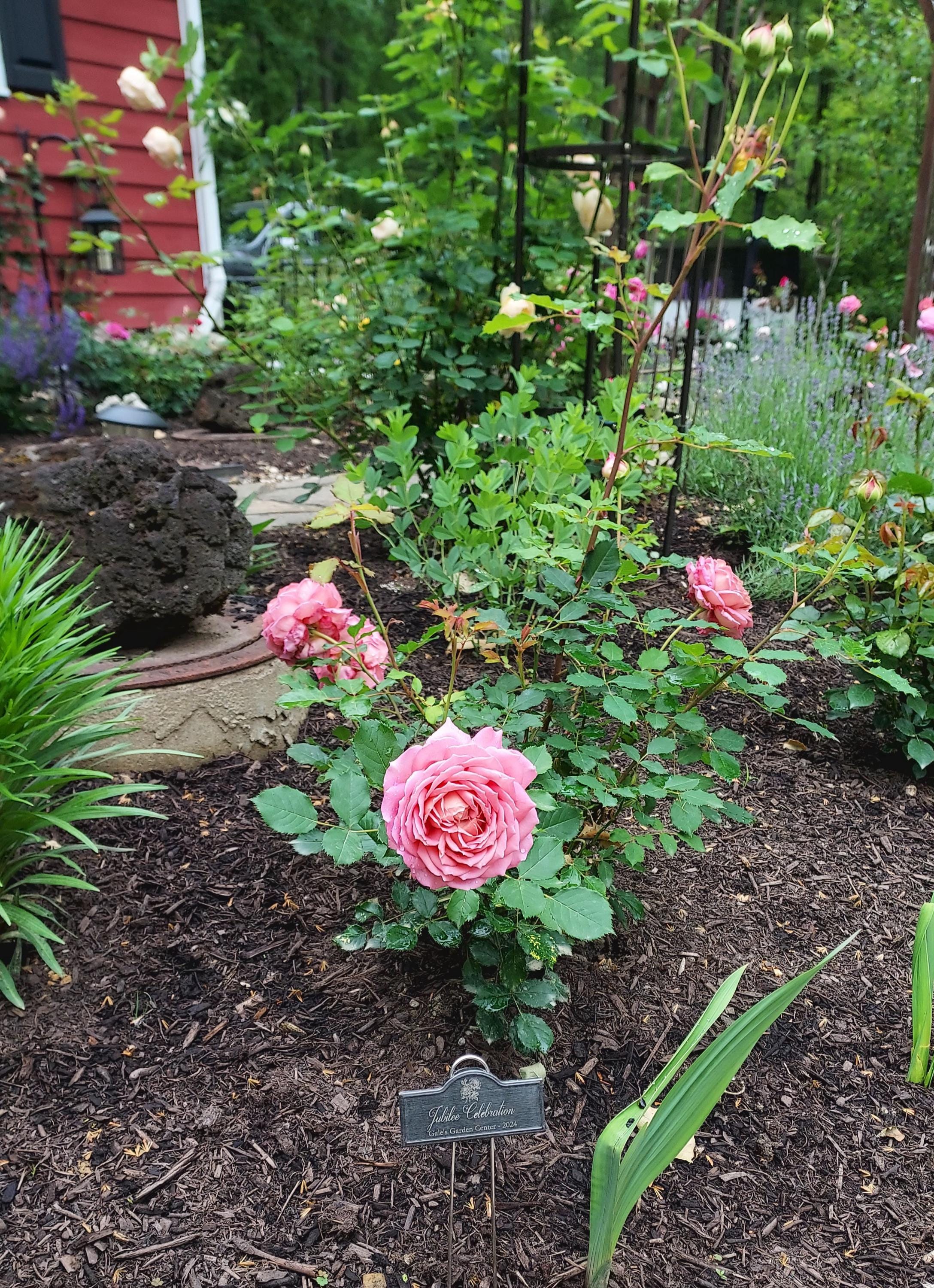 Custom Laser Engraved Copper Plant Rose Markers Stakes Garden Accessories