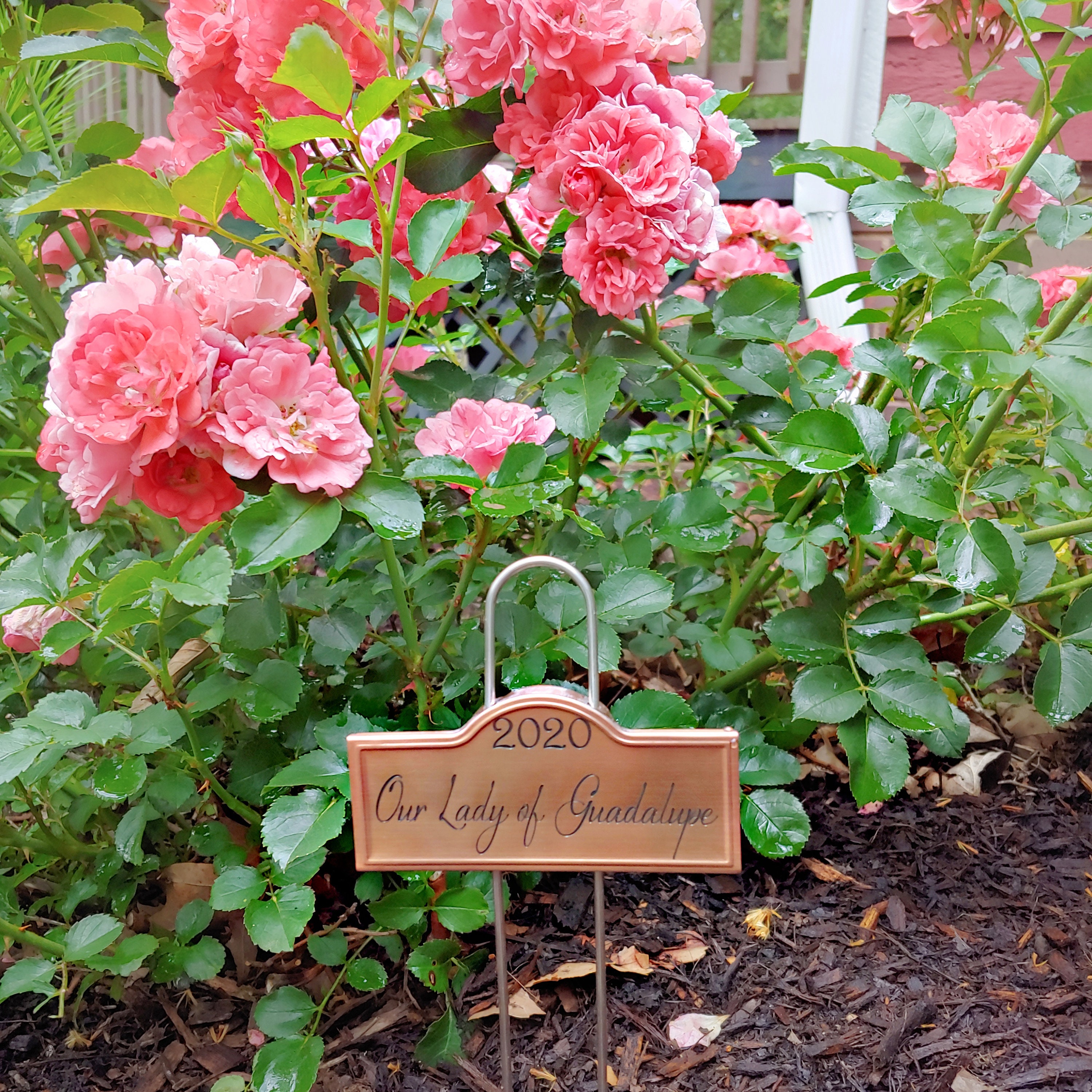 Custom Laser Engraved Copper Plant Rose Markers Stakes Garden | Etsy