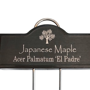 May include: A black wooden plant marker with a silver metal hook. The marker has a stylised tree design and the text "Japanese Maple Acer Palmatum 'El Padre'".