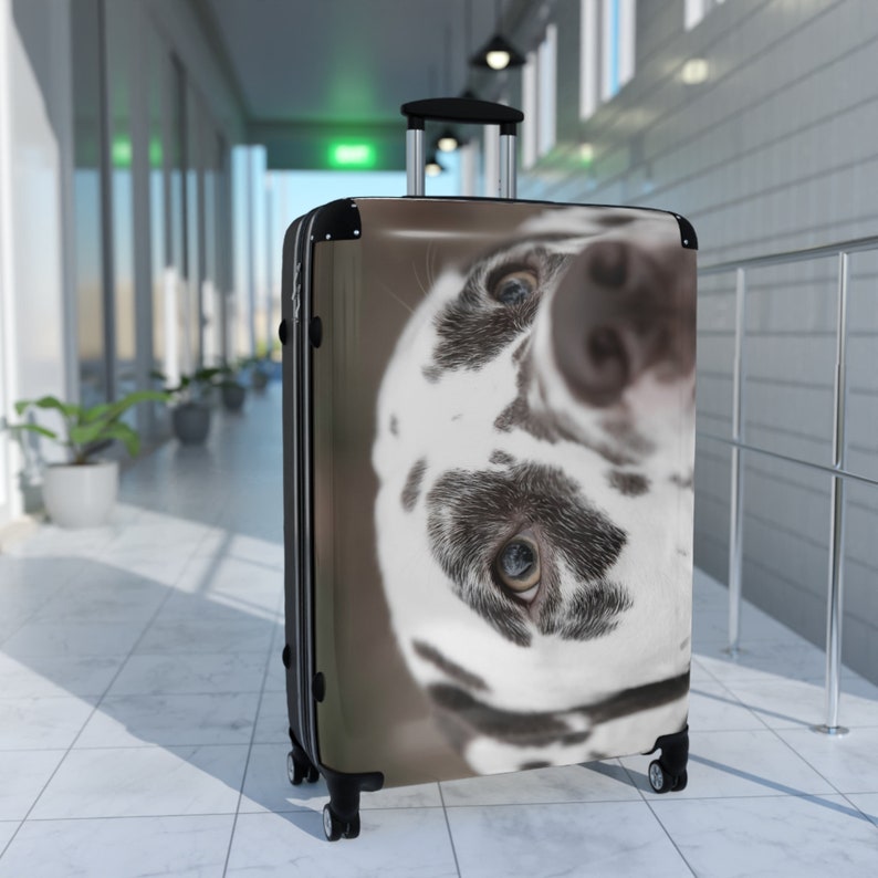 Dalmatian Carryon, , Medium or Large Hardcase Luggage image 3