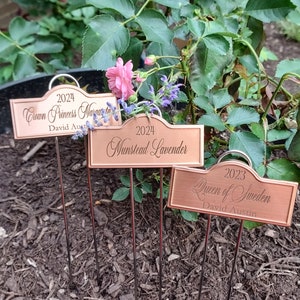 Puede incluir: Tres marcadores de plantas de cobre con una parte superior curva y un año y un nombre de planta grabados en cada uno. Los marcadores están etiquetados "2024 Crown Princess Margareta David Aust", "2024 Munstead Lavender" y "2023 Queen of Sweden David Austin".