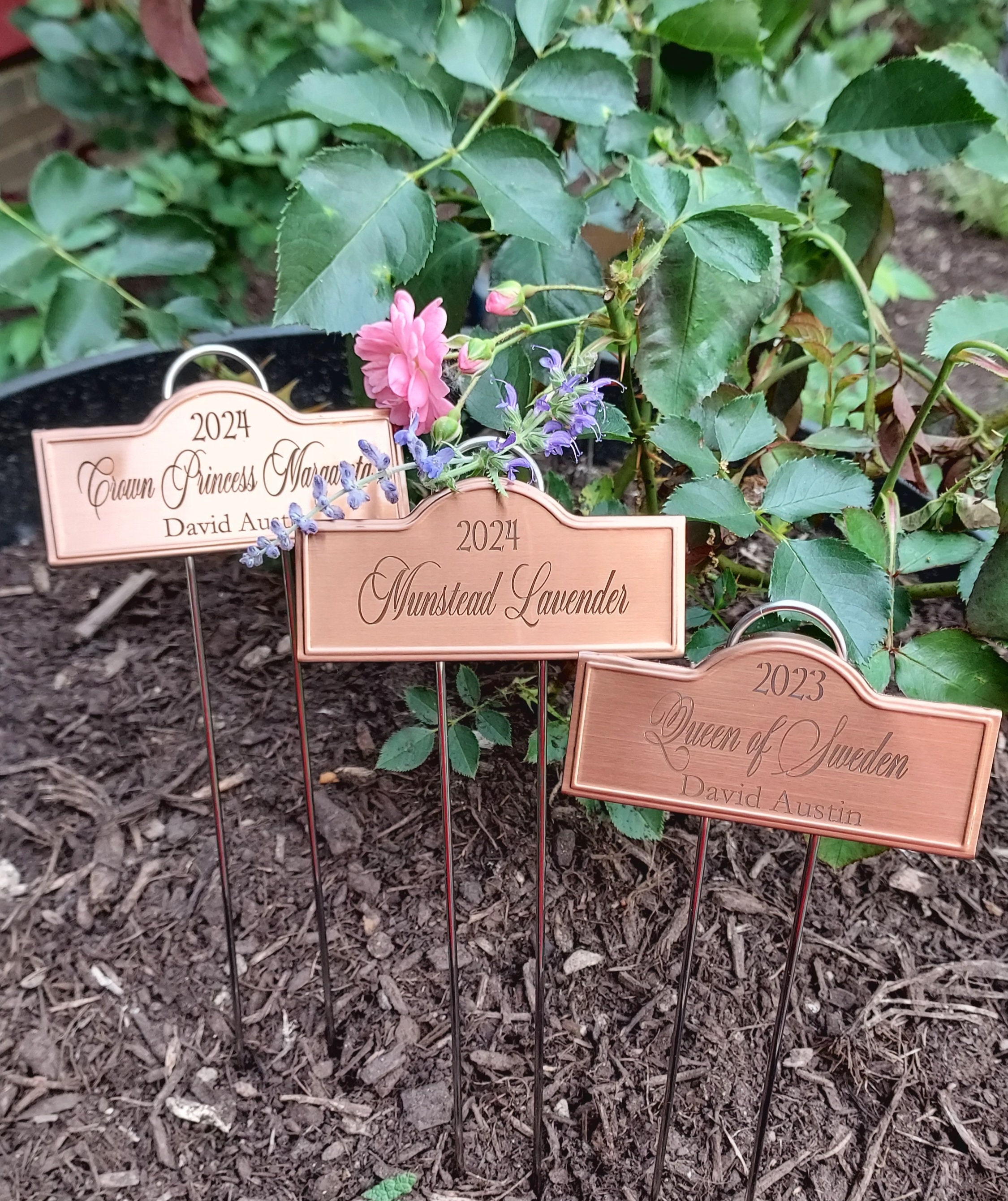 Custom Laser Engraved Copper Plant Rose Markers Stakes Garden Accessories