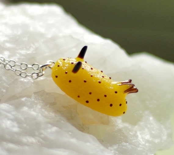 yellow sea bunny sea