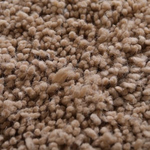 May include: Close-up of a beige shag rug with a soft, fluffy texture.