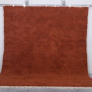 May include: A large, rust-colored rug with a thick, fluffy texture. The rug has a fringe border and is hanging on a white wall.